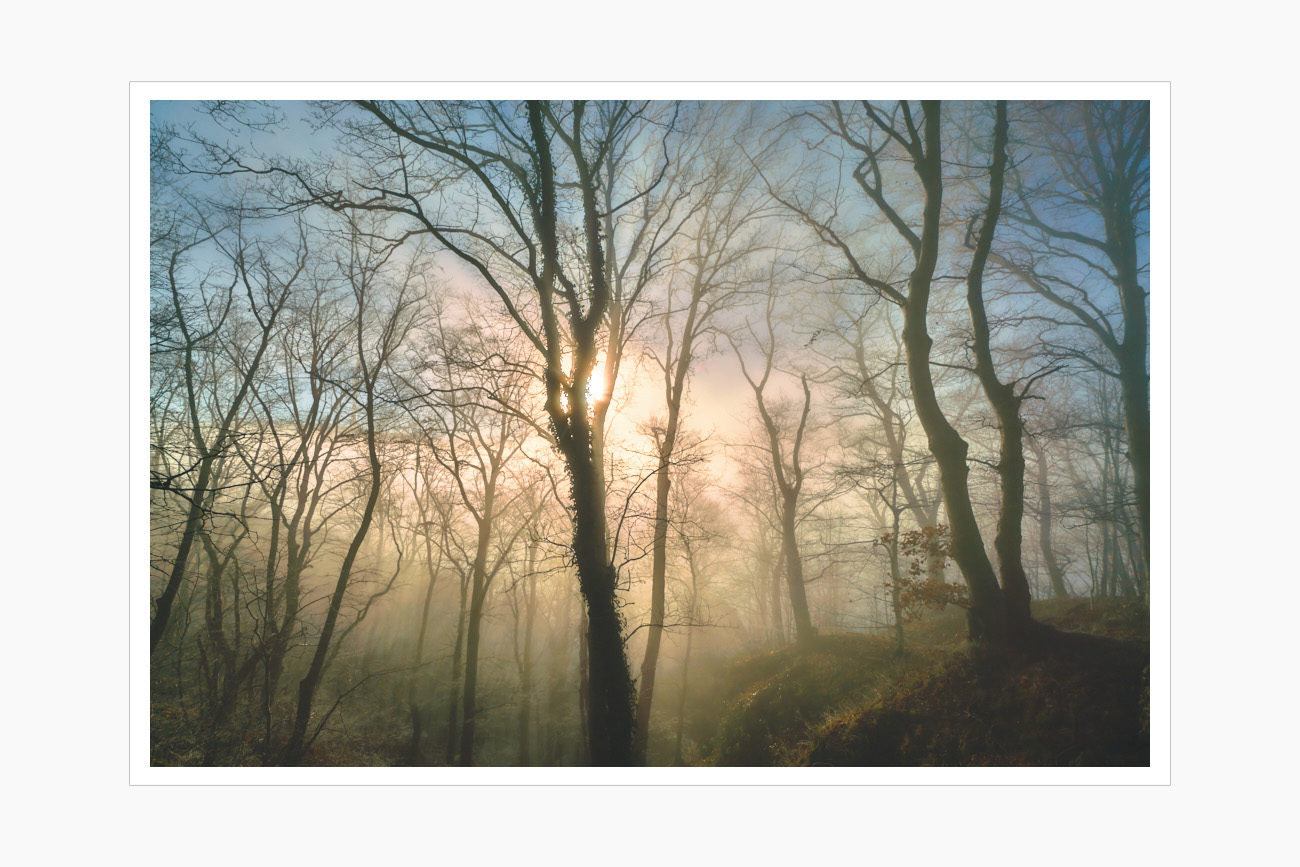 Max Schiefele Alle Bilder DS200085